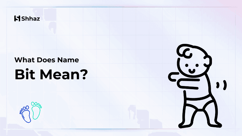 Bit Name Meaing
