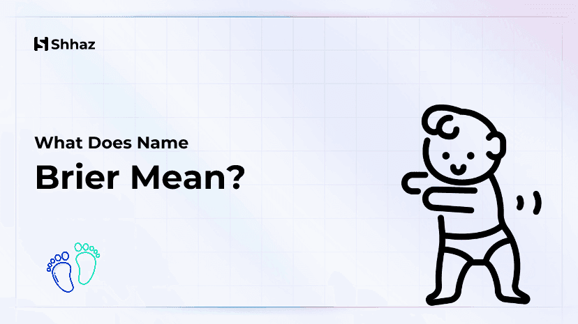 Brier Name Meaing