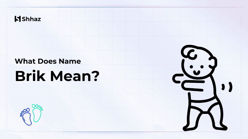 Brik Name Meaing