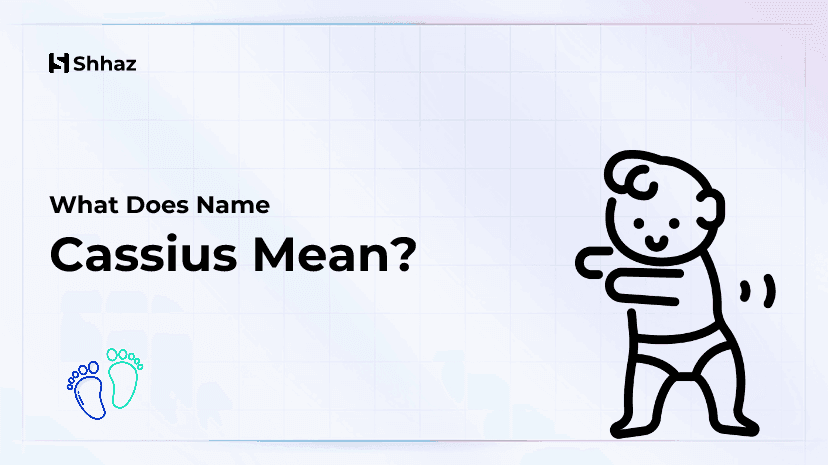 Cassius Name Meaing