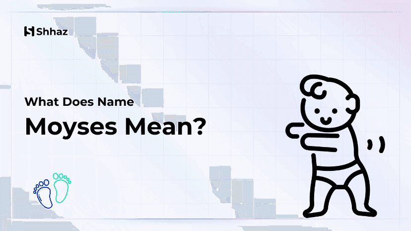 Moyses Name Meaing