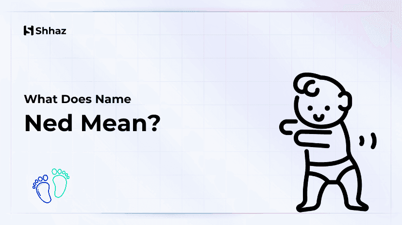 Ned Name Meaing